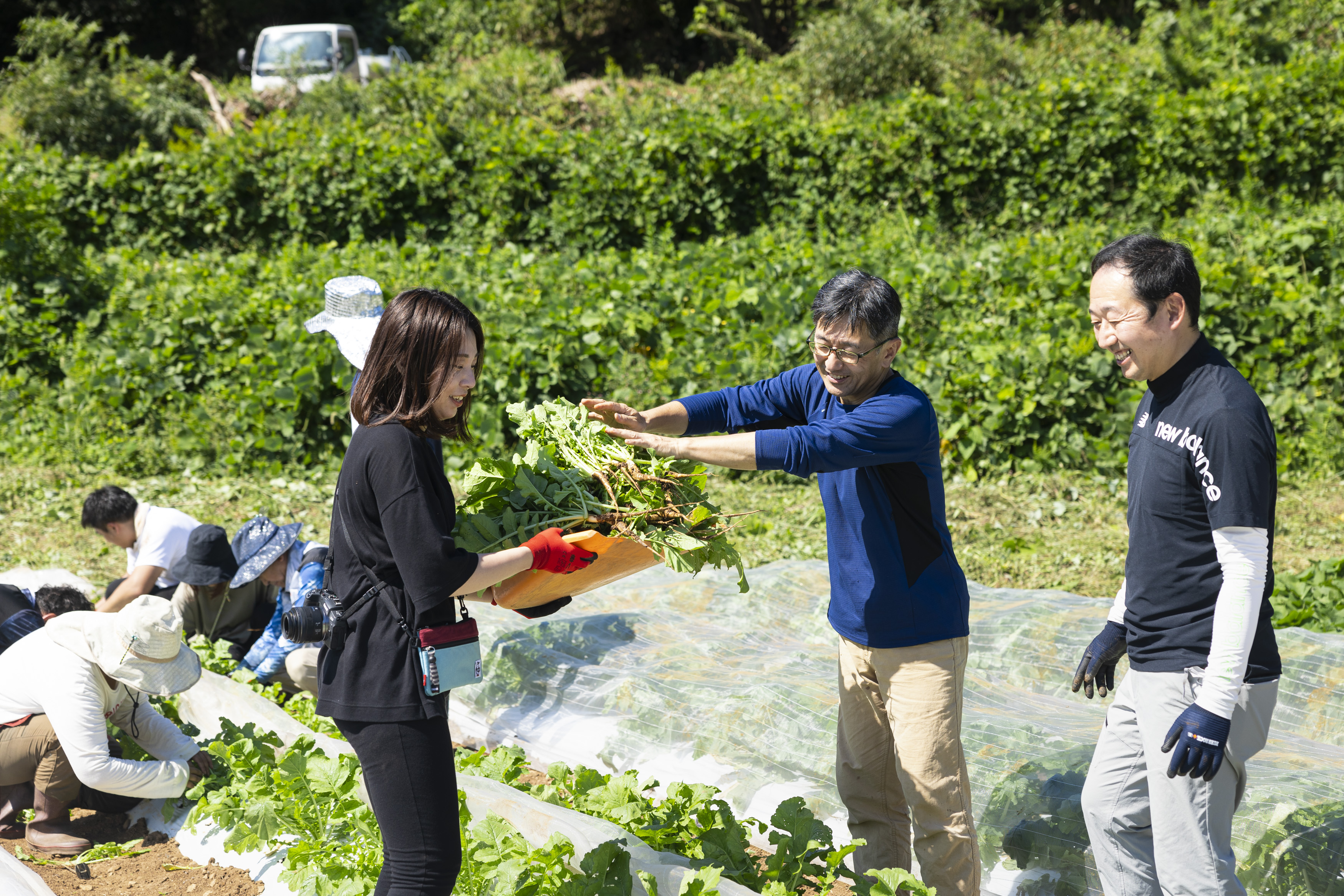 ピエトロが能古島「のこベジファーム」で野菜づくりを続ける理由｜Qターン