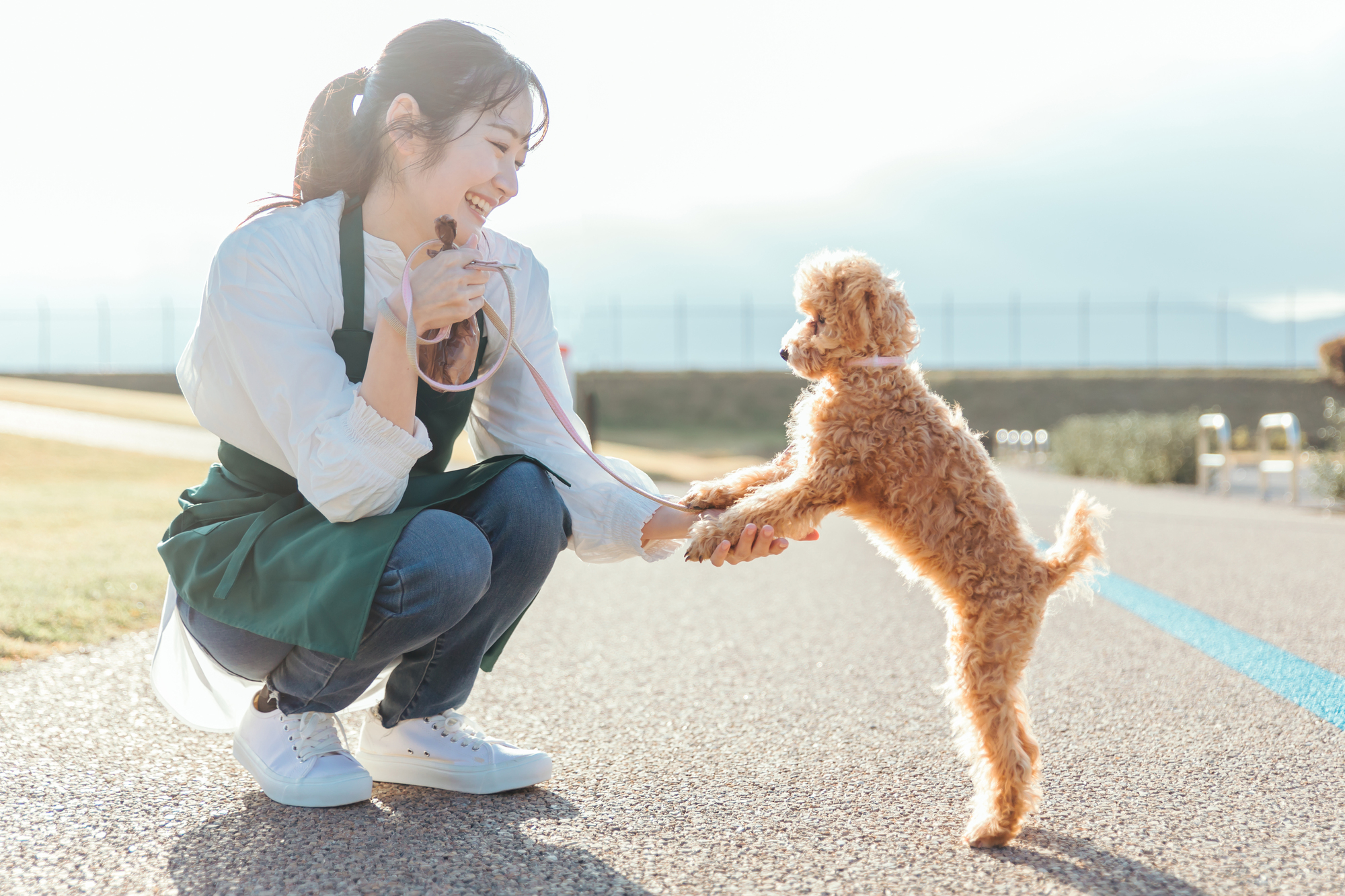 販売 犬吉猫吉ペットライフ24