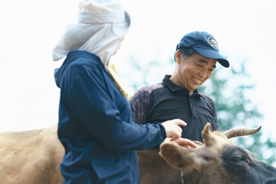 アンティーク牧場マドラスレース 酪農 羊・馬・山羊・豚・鵞鳥・鶏 カーテンパネル めぇ～めぇ～権販売のお知らせ | 日本一富士山の絶景を望める静岡の